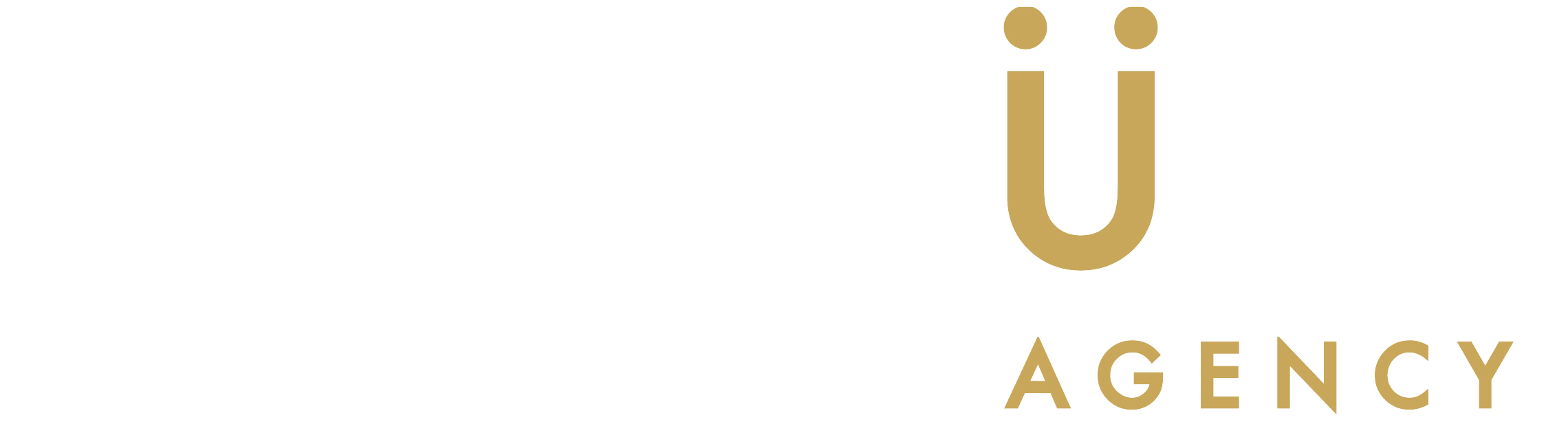 Pursuit Agency logo